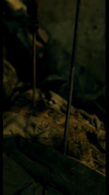 13-05-2026