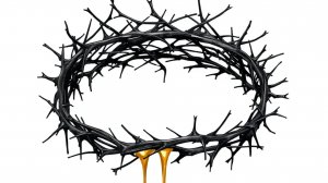 Crown of Thorns