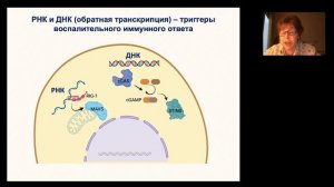 1. Механизмы противовирусного иммунитета и его нарушения при ВИЧ-инфекции