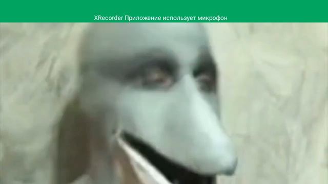 кто такой человек дельфин 🐬