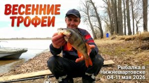 Весенние трофеи! Рыбалка в Нижневартовске 04-11 мая 2026