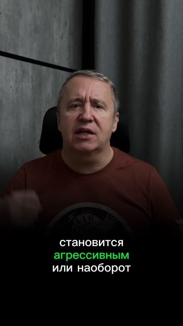 Жена хочет развестись из-за того, что ей мало денег — это правда или просто предлог