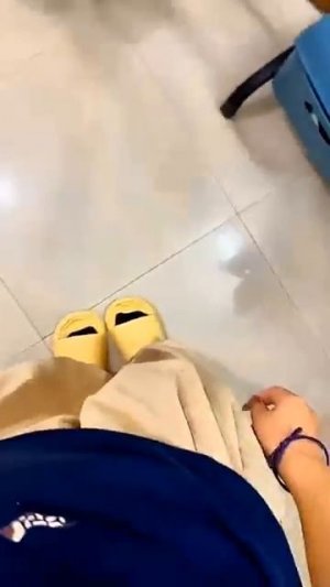 забавные котики