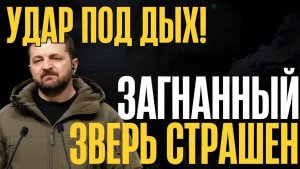 Беги, Вова, беги. За тобой уже выехали! Зе собирает союзников. Самое опасное еще впереди