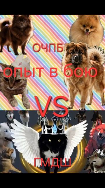 ОЧПБ VS ГМДШ