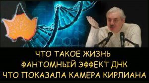 ✅ Н.Левашов. Что такое жизнь. Фантомный эффект ДНК. Что показала камера Кирлиана