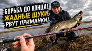 ЖАДНЫЕ ЩУКИ РВУТ ПРИМАНКИ! РЫБАЛКА В РУЧЬЕ НА СПИННИНГ