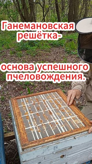 Обвязка для разделительной решётки.