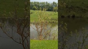 ЭкоГардюхины