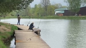 ещё одна форель в подсаке