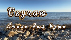 Владимир Ток, СКУЧАЮ. Читает Владислав Витковский. Стихи для души