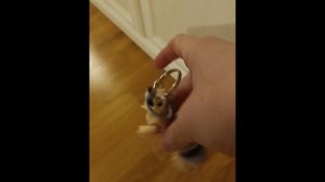 две новых 3дешки!!!