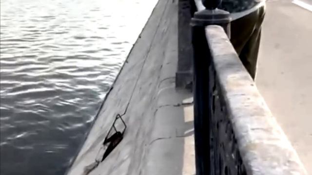 Сом на 25 кг