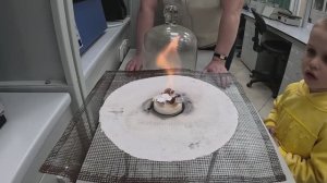 Незабываемая экскурсия на работу к бабушке