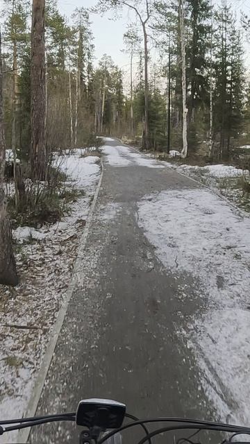 Прогулка на велосипеде