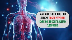 🫁 Матрица для лёгких курильщика: очищение + восстановление