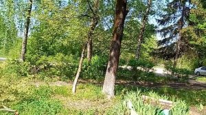 13-05-2026  тепло но ветер