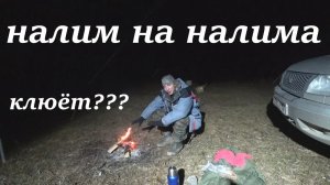 налим на налима.  КЛЮНЕТ??? донки