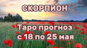 СКОРПИОН  💕 таро прогноз с 18 по 25 мая! #таро #любовь #раскладтаро