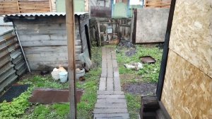 Начались посадки. Похолодание приближается.