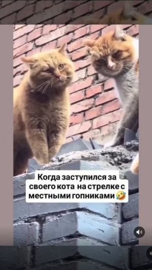 Защитник