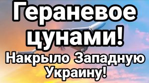 ГЕРАНЕВОЕ ЦУНАМИ НАКРЫЛО ЗАПАДНУЮ УКРАИНУ