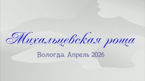 Вологда. Михальцевская роща 2026