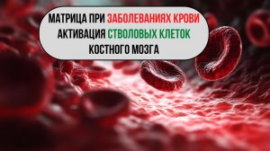 Матрица при заболеваниях крови: влияние на клетки крови и костный мозг 🎵🩺