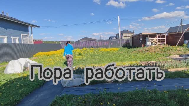 Первый покос травы на участке. Дневник за 12 и 13 мая