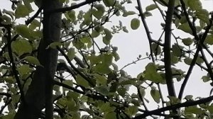 Хейтеры, идите спать. Видео для моих подписчиков ♥️♥️♥️🌺🥀🌷🌹🌼👍