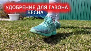 Удобрение для газона весна.  Весенний уход за газоном, сгребаем войлок: пошаговая инструкция.