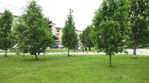 В Саратове продолжается реализация проекта комплексного развития Привокзальной площади