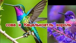 моя сказка) (радио)