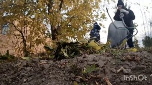 Только внук мне в помощь. Архив