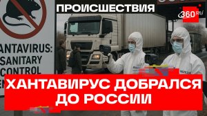 Роспотребнадзор усилил пропускной контроль на границе из-за хантавируса