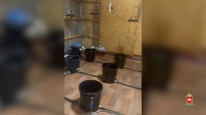 Полиция пресекла криминальный бизнес двух жителей Челябинска по производству и сбыту марихуаны