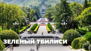Как в Тбилиси ухаживают за растениями на улицах города
