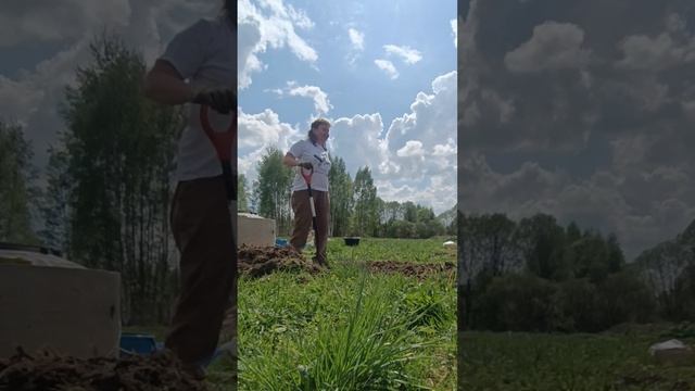 Про жизнь, мысли во время копки земли.