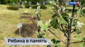 Аллея памяти