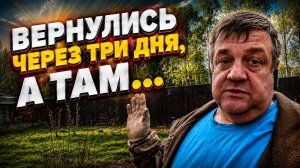 Вернулись через три дня, а там....