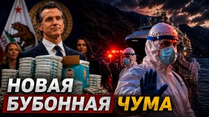ЛЮДЕЙ ИЗОЛИРОВАЛИ ПОСЛЕ РЕЙСА НА ЛАЙНЕРЕ ВСПЫШКА ХАНТАВИРУСА  БЕСПЛАТНЫЕ ПОДГУЗНИКИ В КАЛИФОРНИИ