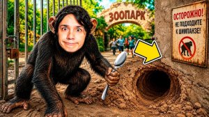 [PipaPupa] Я СТАЛ ОБЕЗЬЯНОЙ И СБЕЖАЛ ИЗ ЗООПАРКА В РОБЛОКС 🐵🚨