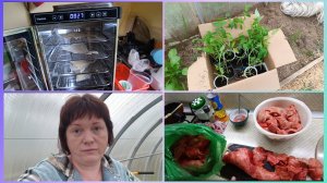 Влог.Внеплановая рассада.Пересаживаю гортензию.