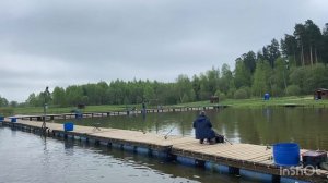 Запускаем форель в водоем! Ежедневный запуск форели!
