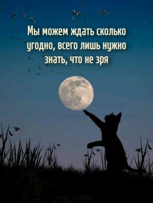 Всё можно