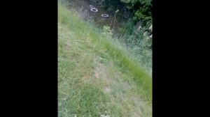 Запись_2026_05_13_20_53_21_815
