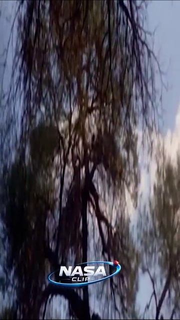 видео близко снятого нло