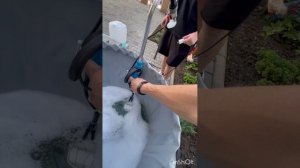 Подготовка оборудования к работе