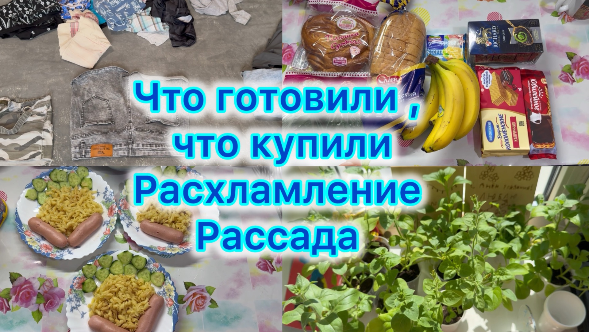 Что готовили , что купили . Расхламление , моя рассада