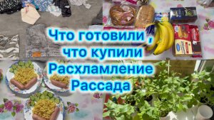 Что готовили , что купили . Расхламление , моя рассада